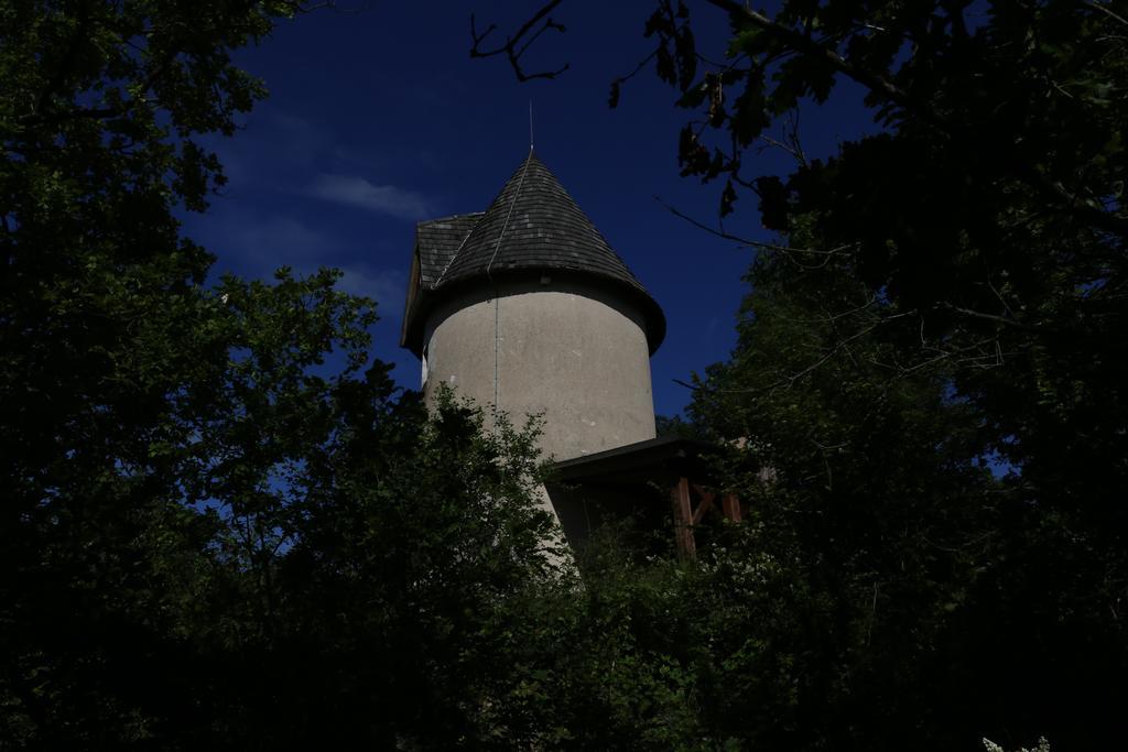 Castelnaud-de-GratecambeMoulin De Rouze别墅 客房 照片