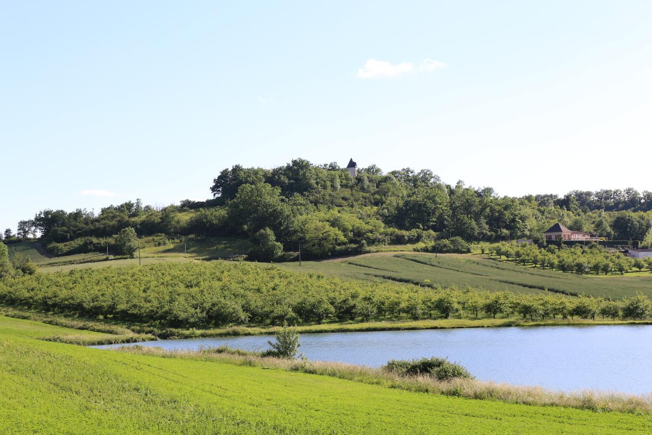 Castelnaud-de-GratecambeMoulin De Rouze别墅 外观 照片